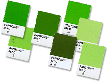 groene pantone kleurenchips